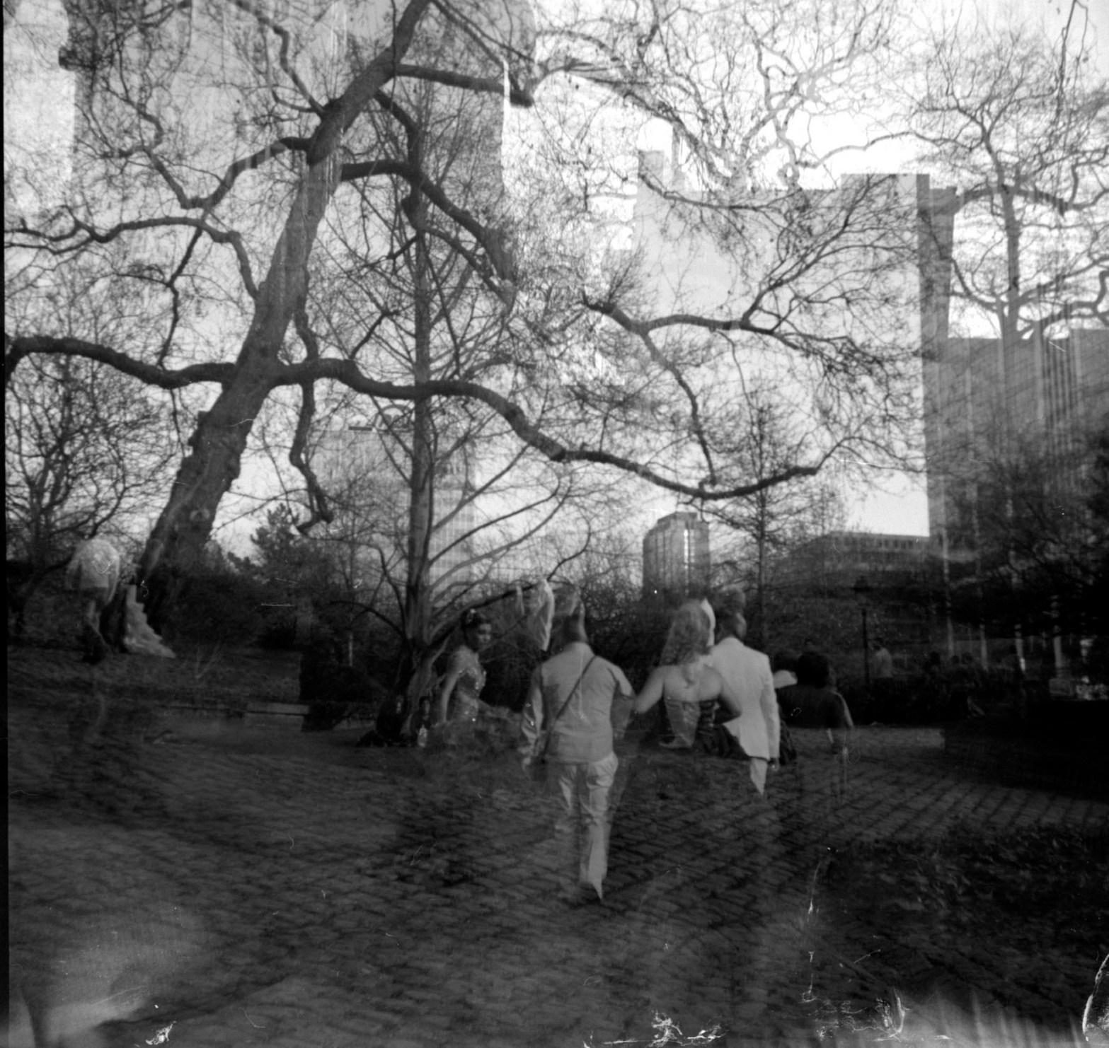 People trees dark ambiance