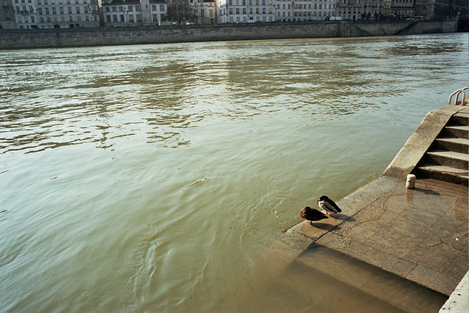 Climate change is real and one need to adapt