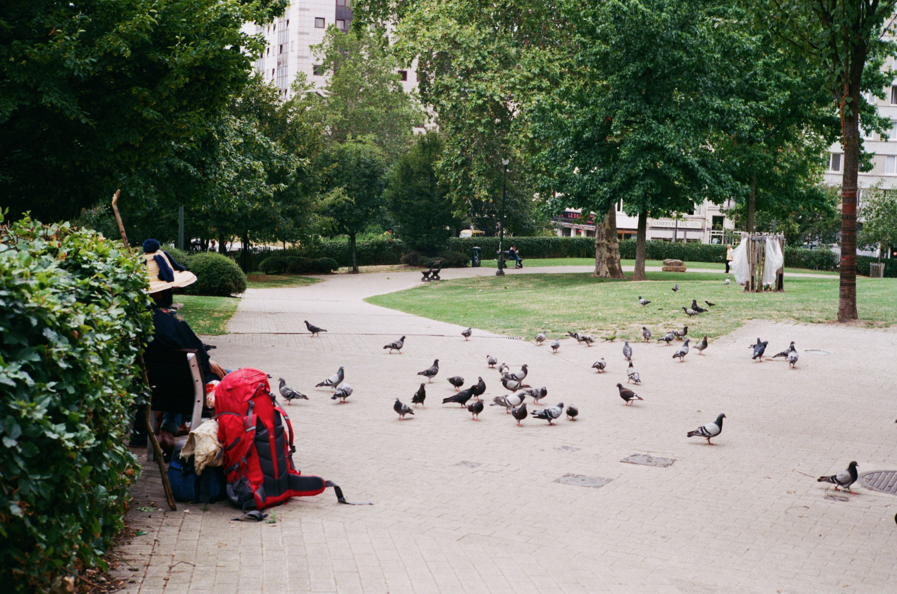 A man from another world is seated in the parc