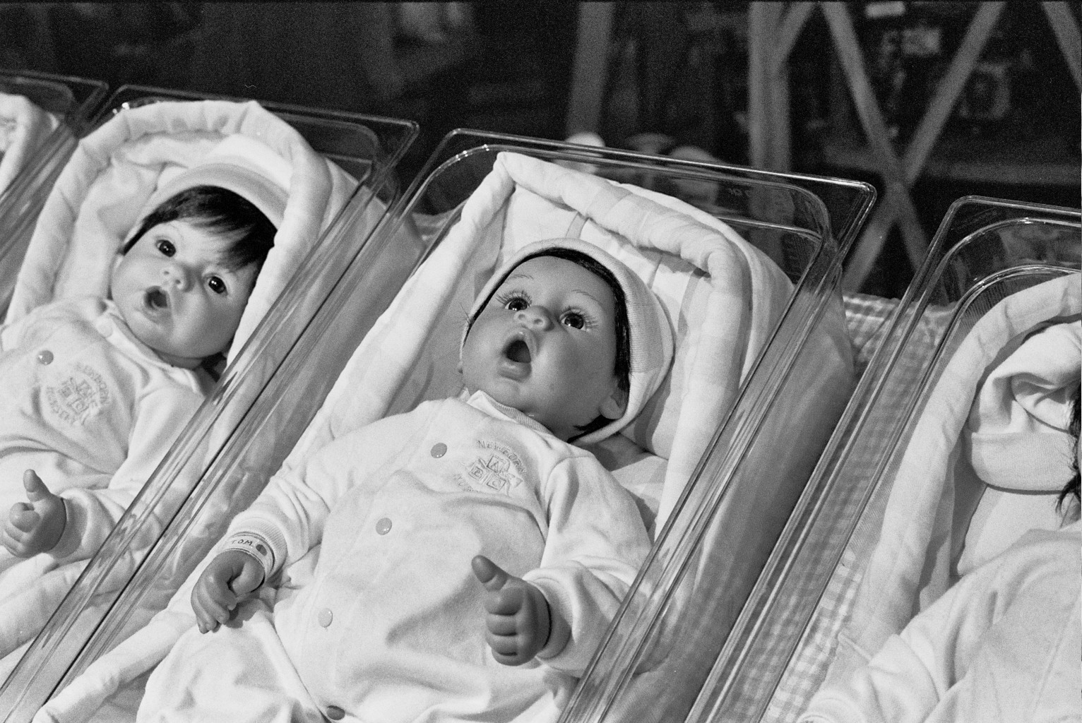 New born fake plastic babies in the cuvette